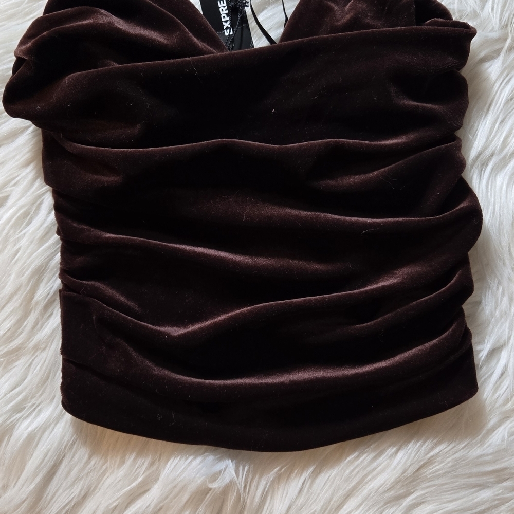 Express Rich Brown Velvet Top - Picture 3 of 4